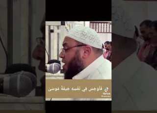 د احمد السعيد مندور