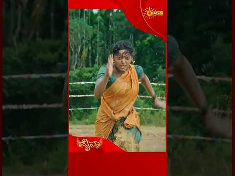 Mynaa Udaya TV Serial Shorts