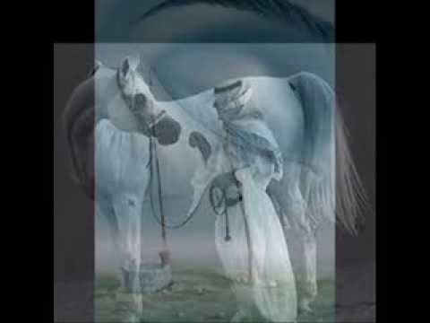 علي الكدادي شيلة لبى صوتك