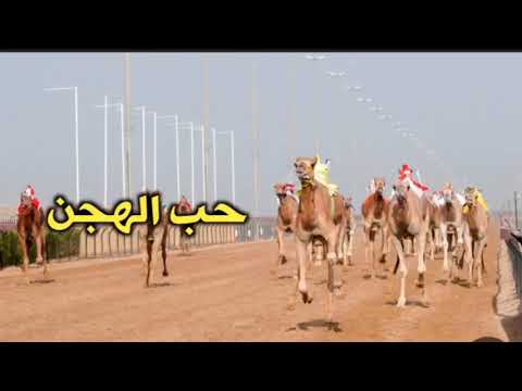 حب الهجن جديد اداء سلطان العذبه ومسفر السندوانه