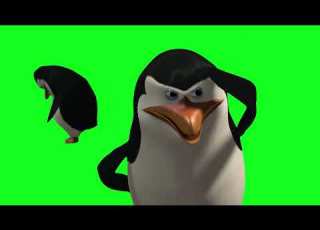  Penguins Of Madagascar GREEN SCREEN Compilation