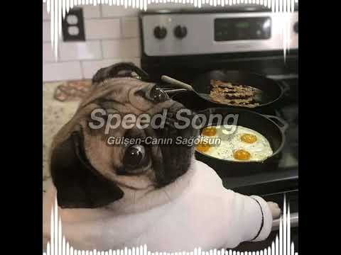 Gülşen Canın Sağolsun Speed Up