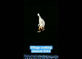  Biga Biga Hai Sama Dance Shorts Ytshorts