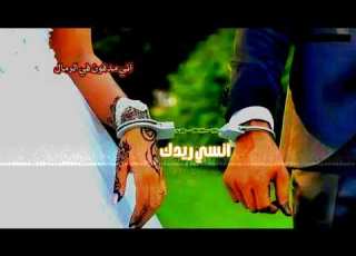 حالات واتس المبدع محمدنايل