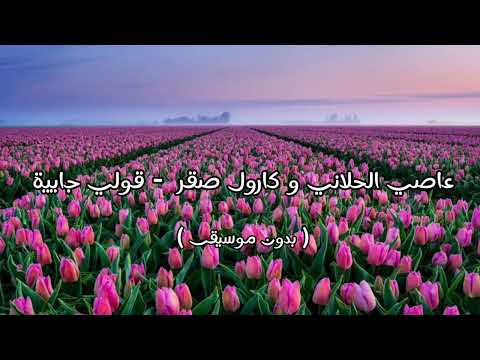 عاصي الحلاني و كارول صقر قولي جايية بدون موسيقى