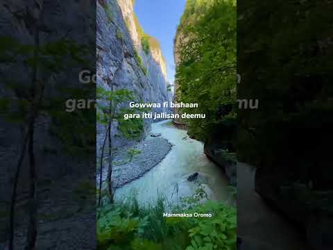 Mammaaksa Afaan Oromoo Afaan Oromoo Mammaaksa Afaan Oromoo Afaan Oromoo