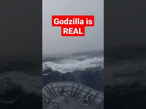 Godzilla Caught On Cam Shorts Godzillavskong Fypyoutube Fyp