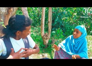  Warqii Bonsa Hiibboo Afaan Oromotin Shorts 2022