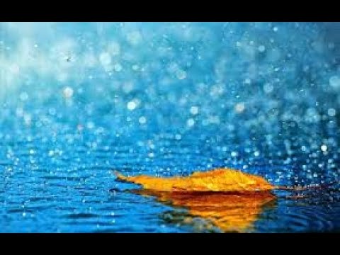 خواتيم سورة الحشر الشيخ محمد صديق المنشاوي