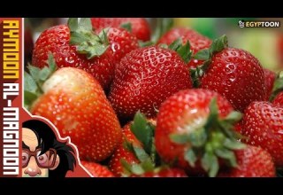 وش القفص برنامج أيمون المجنون الموسم الثاني حلقة 11