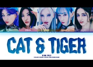  X IN Cat Tiger Lyrics Color Coded Lyrics