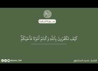 سورة البقرة مكتوبة الشيخ محمد المنشاوي