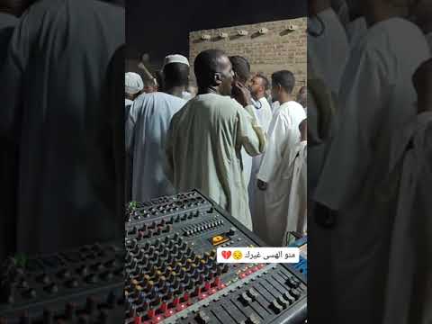 دفع ودالديم