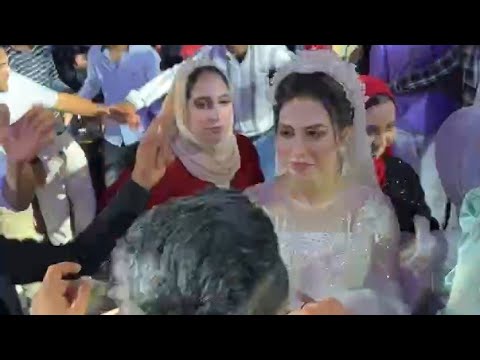 ما بنعتمدش اسامي كلها اسماء وهميه عيال ولسه طريه افندينا السيد حسن والقشاش