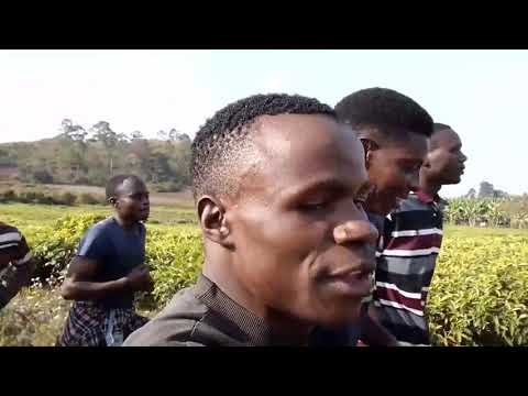 Allycent Hapa Ni Wapi Official Music Video