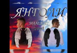 SHALENI Bend Янголи