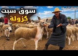  الله على سوق السبت كزولة إقلم أسفي مع أثمنة الحولي العيد الأضحى بتاريخ 02 05 2026