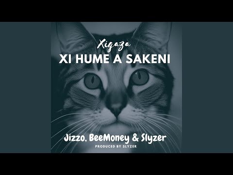 Xi Hume A Sakeni Feat BeeMoney Slyzer