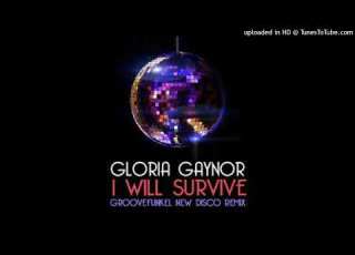 Gloria Gaynor I Will Survive Yastreb Remix