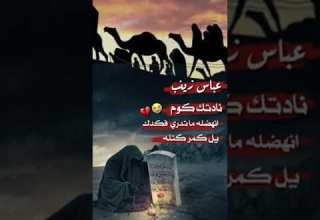 عباس زينب نادتك گوم انهضلها ماتدري فگدك يل گمر عگبك كتلها