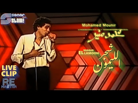 Mohamed Mounir Shagar El Lamoon Live Clip Remaster محمد منير شجر الليمون لايف كليب ريماستر Mohamed Mounir Shagar El Lamoon Live Clip Remaster محمد منير شجر الليمون لايف كليب ريماستر