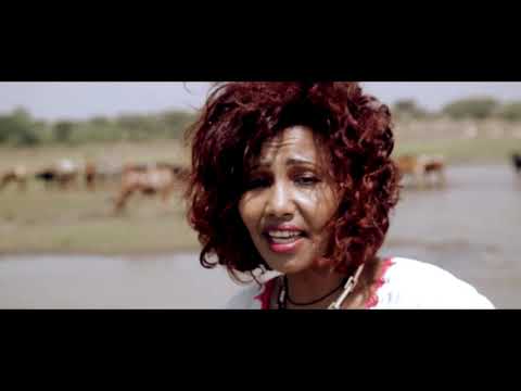 Fikeraddis Nekatibeb Almotem አልሞትም OFFICIAL Music Video 2016