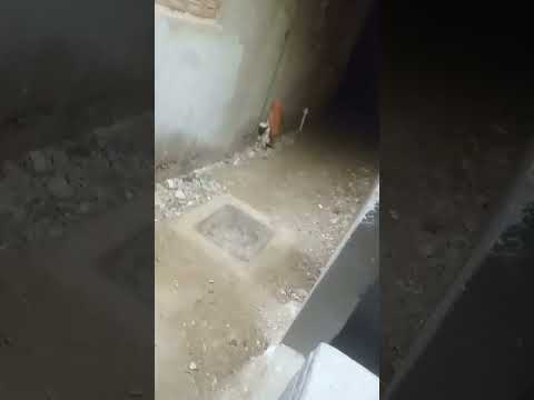 حسن شاكوش و مي عمر اغنية تعالالي حبيبي الليلة