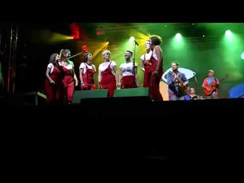 Le Zbor Feat Manu Chao Clandestino