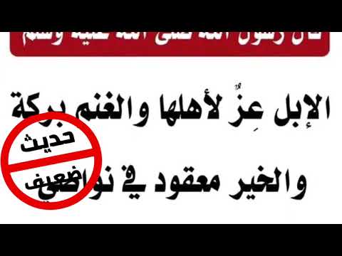 حديث ضعيف الإبل عز لأهلها والغنم بركة والخير معقود في نواصي الخيل