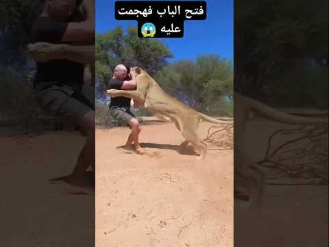 أكلته اللبوه