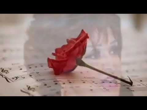 وردة أتنهد يقولوا مالك على عيني