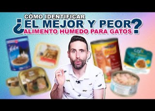 Cuál Es El MEJOR Y PEOR ALIMENTO HÚMEDO Latita Sobre Paté Para Tu GATO Según Su Etiqueta