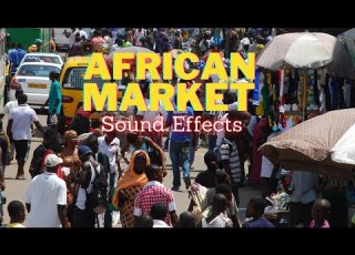  African Market Sound Effect High Quality Royalty Free School Of Ambience