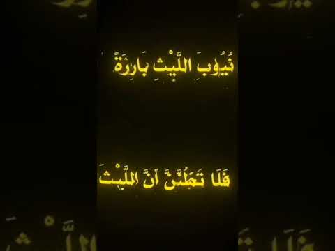وجاهل مده في جهله ضحكي اقتباسات اقوال شعر