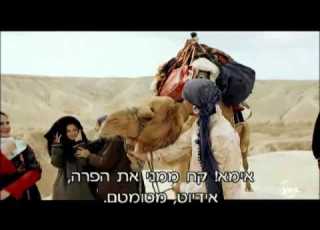 בלו נטלי 2 נתיב הזנות