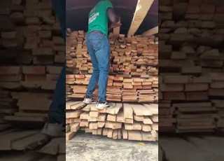 Hapa Kazi Tu Mogesi Show