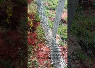  Cost Of Fencing With Chainlink 10ft Concrete Posts On 1 Acre Plot