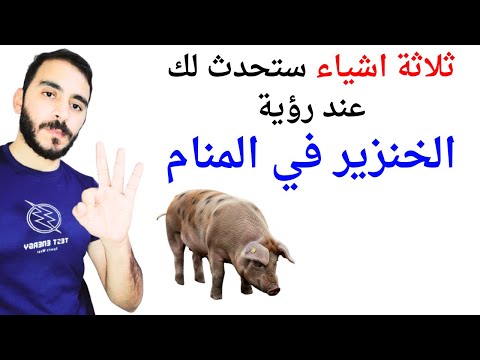 ثلاثة اشياء ستحدث لك إذا رأيت الخنزير في المنام L ـتفسير حلم رؤية الخنزير والخنازير في المنام