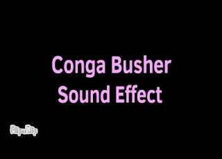  Conga Busher Sound Effect
