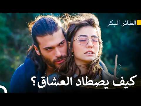 درس الصيد بين الضحك والحب مسلسل الطائر المبكر