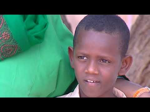 احمد الخضر سلام سلام