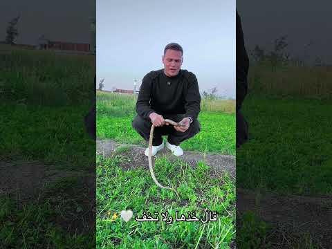 قال خذها ولا تخف