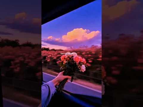 Love Me Like You Do Ellie Goulding Lyrics Aesthetic Whatsapp Status English Songs Slowed