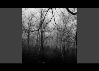 آنامنسیس ۱ مقدمه