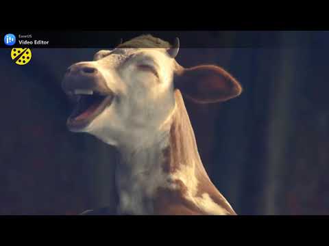 Shinawuna Kaffa Music GUURGGUTO MEDIA NETWORK GMN Kaffa Bonga