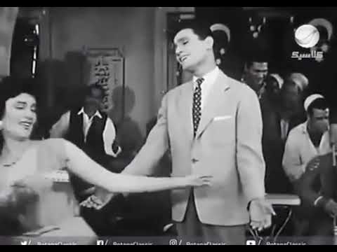 قولولو قولولو الحقيقة