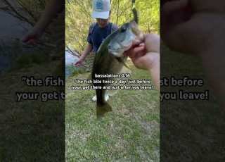 Only Truths Fihh Fishingshorts