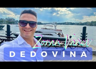  ZORAN VANEV DEDOVINA