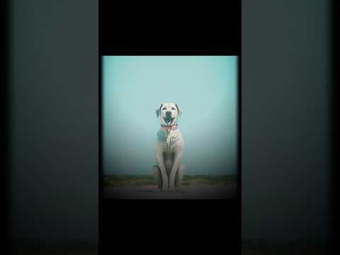 Don T Wake The Legend Mama Ma Slowed SXLLX Oliveira Mc 011 Don T Wake The Legend Mama Ma Slowed SXLLX Oliveira Mc 011