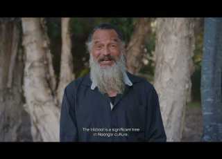 04 BIBBOOL YANGINY KADADJINY